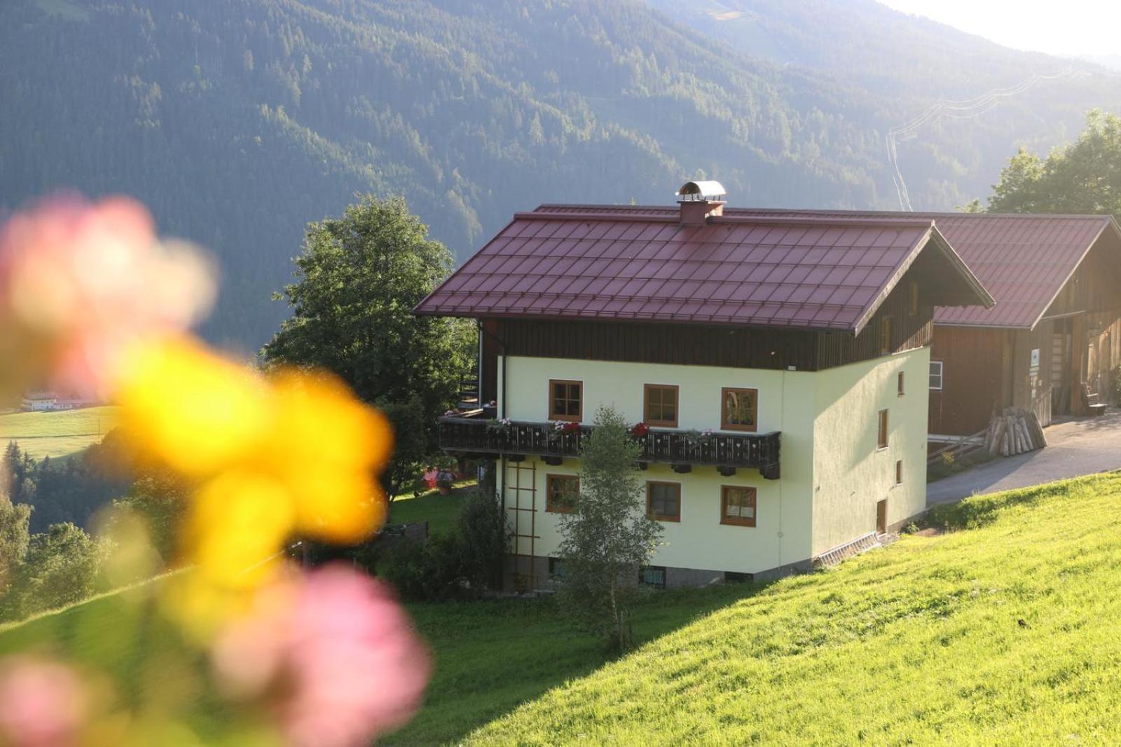 Molteraugut Apartment Muhlbach Am Hochkonig Exterior photo